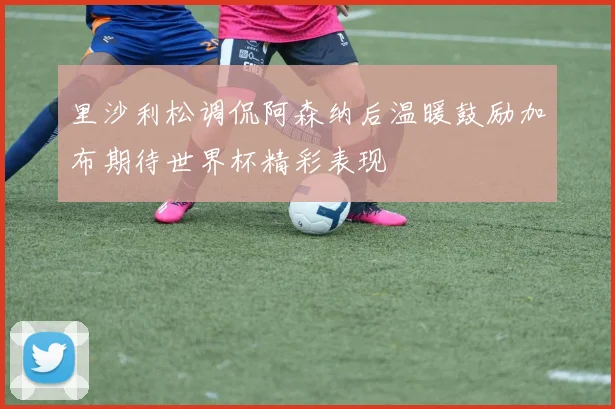 里沙利松调侃阿森纳后温暖鼓励加布期待世界杯精彩表现